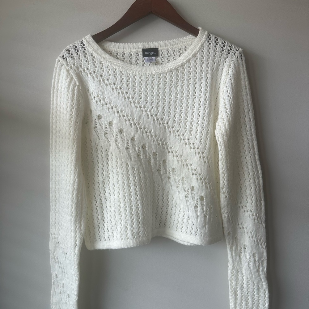 Mingle Crew Neck Knit Sweater Large